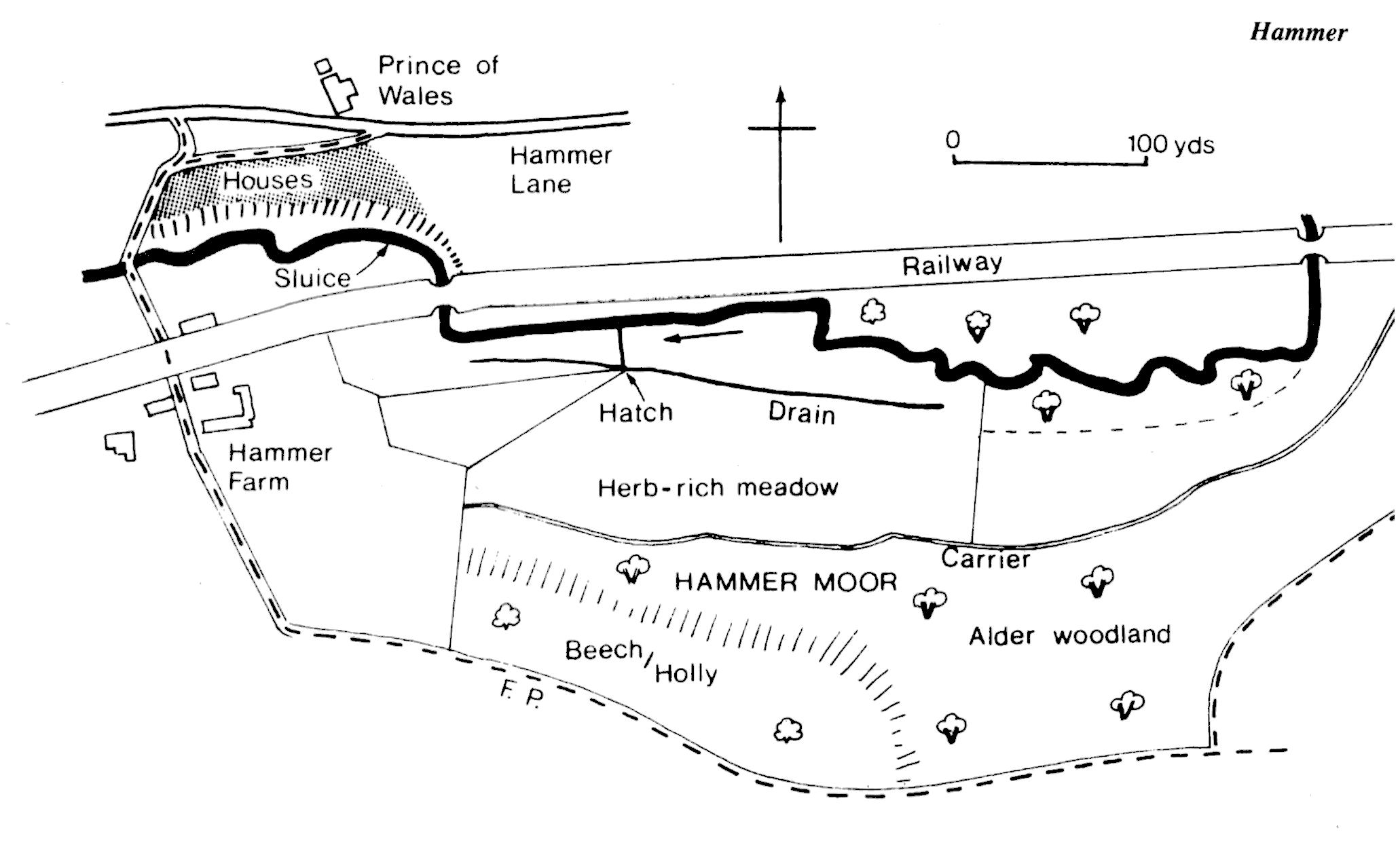 Diagram of Hammer length 
